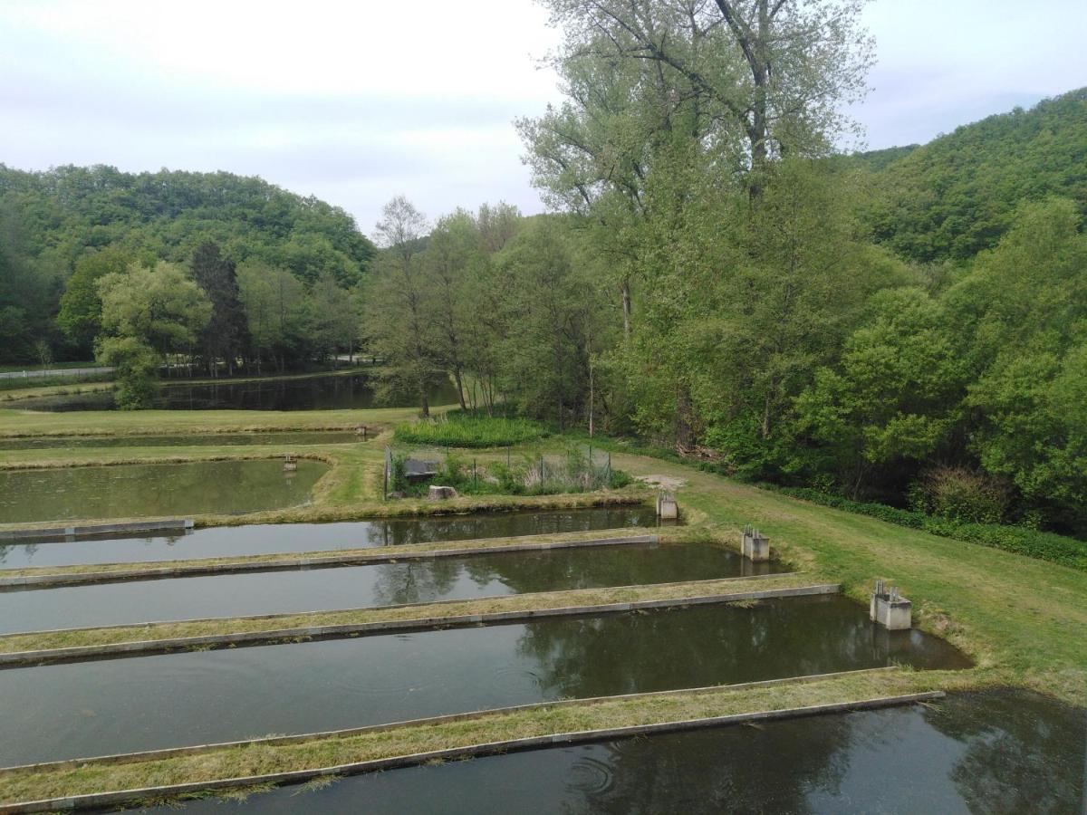 Zimmer Ohne Fruehstueck In Der Forellenzucht Burgen  Exterior foto